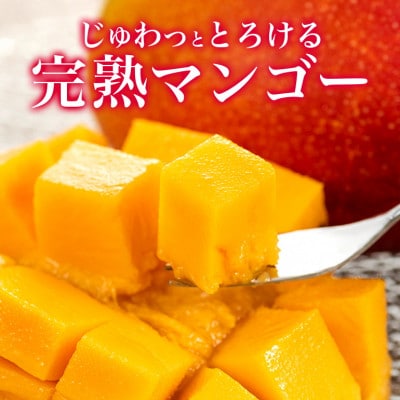 【2025年発送】 訳あり 完熟アーウィンマンゴー 1kg