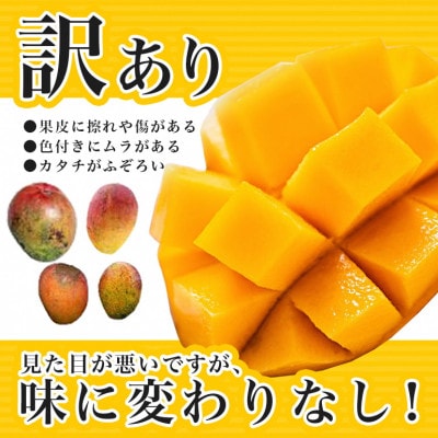 【2025年発送】 訳あり 完熟アーウィンマンゴー 1kg