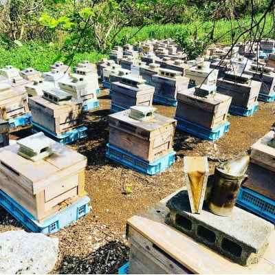 【非加熱・無添加】糸満産 生はちみつ(110g×2個セット)