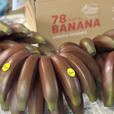モチモチ食感!赤バナナ【2kg】