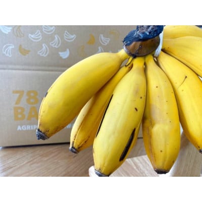 もっちり食感!アップルバナナ 【2kg】