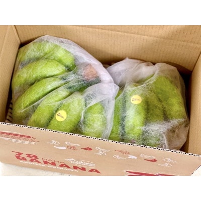 沖縄県糸満市産 アップルバナナ 2kg|2房・20～25本|ギフトボックス入り
