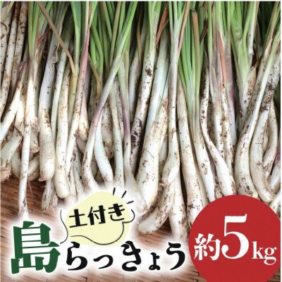【産地直送】 南国フーズ 土付き 島らっきょう 約 5kg