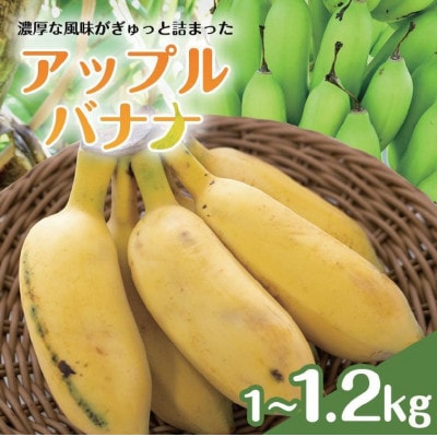 【産地直送】 南国フーズ アップルバナナ 1kg〜1.2kg