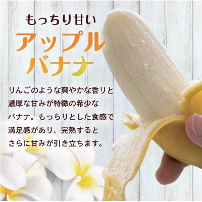 【産地直送】 南国フーズ アップルバナナ 1kg〜1.2kg
