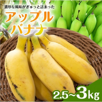 【産地直送】 南国フーズ アップルバナナ  2.5kg～3kg