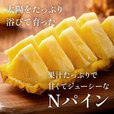 Nパイン2玉 沖縄県の南部では育たないと言われた幻のパイナップル