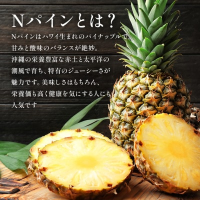 Nパイン2玉 沖縄県の南部では育たないと言われた幻のパイナップル