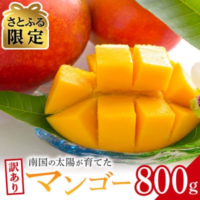 【さとふる限定】【2025年発送予定】【訳あり】アップルマンゴー800g(2玉)