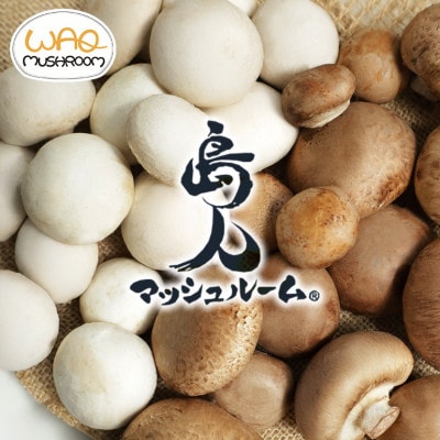 島人マッシュルームセット (ホワイト・ブラウン100g×各2セット)