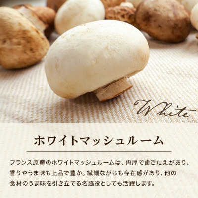 島人マッシュルームセット (ホワイト・ブラウン100g×各2セット)