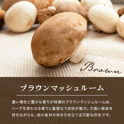 島人マッシュルームセット (ホワイト・ブラウン100g×各2セット)