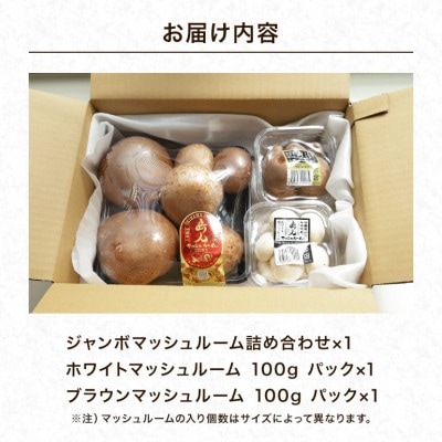 島人マッシュルームセット (ジャンボ×1、ホワイト・ブラウン100gセット)
