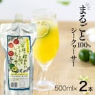 家族で飲みたいまるごと 100% シークヮーサー 500ml×2本 (パウチタイプ) シークヮーサー