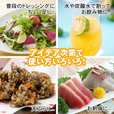 家族で飲みたいまるごと 100% シークヮーサー 500ml×2本 (パウチタイプ) シークヮーサー