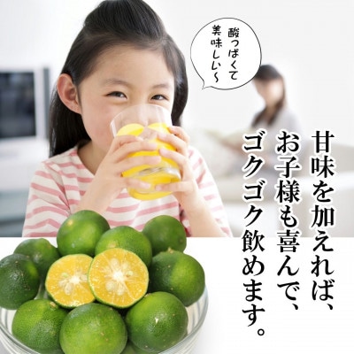 【さとふる限定】家族で飲みたいまるごと 100% シークヮーサー 500ml×6袋(パウチタイプ)