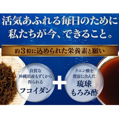 【金秀バイオ】琉球フコイダンプラス 90粒 10袋セット 300日分 (約10ヶ月分) サプリ