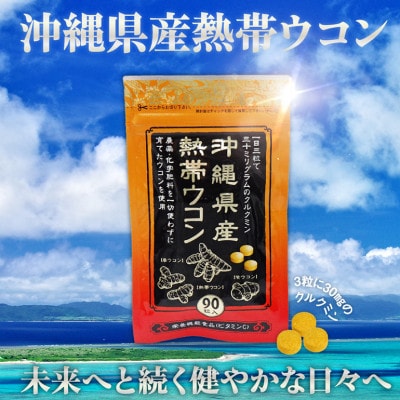 【金秀バイオ】沖縄県産熱帯ウコン 90粒×3袋+春ウコン粒 900粒×2袋 セット