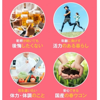 【金秀バイオ】 春ウコン粒 900粒 2袋セット 60日分(約2ヶ月分) サプリ