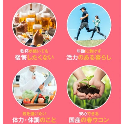 【金秀バイオ】春ウコン粒 900粒 3袋セット 90日分(約3ヶ月分) サプリ