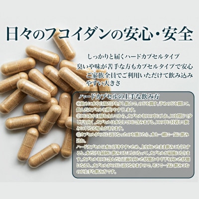 【金秀バイオ】 日々のフコイダン 1箱 (31袋入り) 31日分 (約1ヶ月分) サプリ