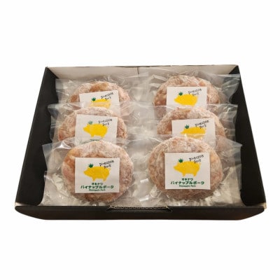 沖縄県産 パイナップルポーク ハンバーグ 100g×6個入 小分けパック