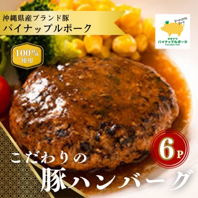 沖縄県産 パイナップルポーク ハンバーグ 100g×6個入 小分けパック