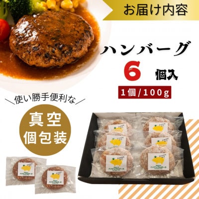 沖縄県産 パイナップルポーク ハンバーグ 100g×6個入 小分けパック
