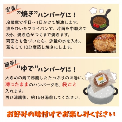 沖縄県産 パイナップルポーク ハンバーグ 100g×6個入 小分けパック