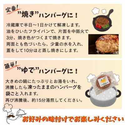 沖縄県産 パイナップルポーク ハンバーグ 100g×6個入 小分けパック