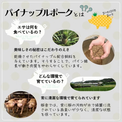 沖縄県産 パイナップルポーク ハンバーグ 100g×6個入 小分けパック