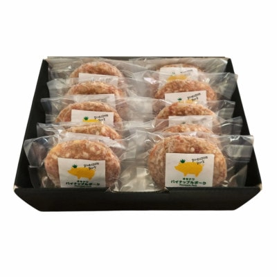 沖縄県産 パイナップルポーク ハンバーグ 100g×10個入 小分けパック