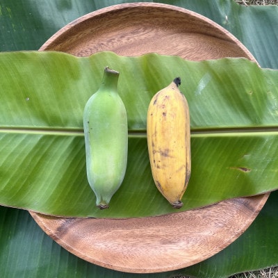 沖縄でオジーが育てた こだわり  アップルバナナ 1.5kg