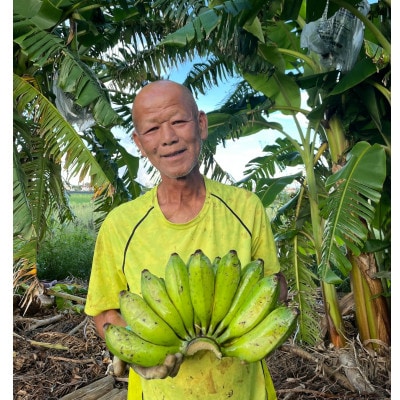 沖縄でオジーが育てたこだわり アップルバナナ と オクラ セット