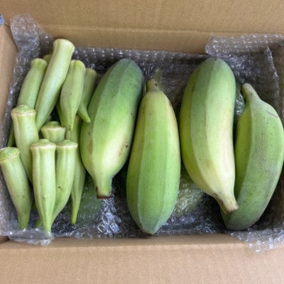 沖縄でオジーが育てたこだわり アップルバナナ と オクラ セット