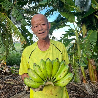 沖縄でオジーが育てたこだわり アップルバナナ と 黄金生姜 セット