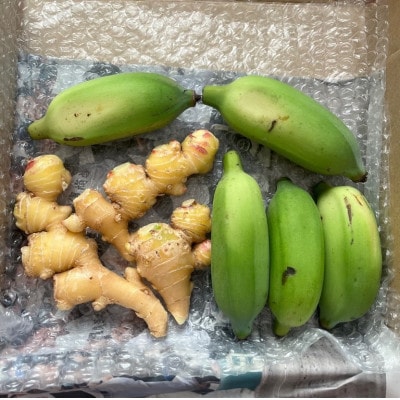 沖縄でオジーが育てたこだわり アップルバナナ と 黄金生姜 セット