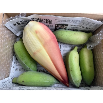 沖縄でオジーが育てたこだわり アップルバナナ と バナナの花 セット