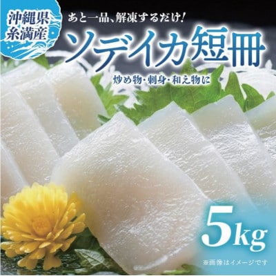 ソデイカ　短冊　5kg