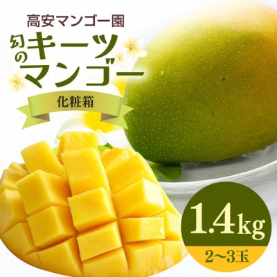【2027年発送】F・Dマースマンゴー糸満の幻のキーツマンゴー　1.4kg(化粧箱)