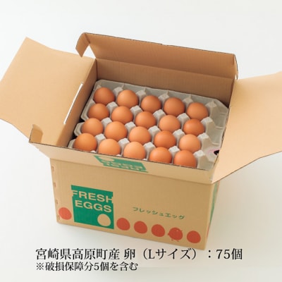 宮崎県産『きみの力(チカラ)』L玉75個　特産品番号406