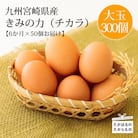 『卵の定期便』年6回計300個《大玉の赤たまご》宮崎県産きみの力(チカラ)Lサイズ　TF00448
