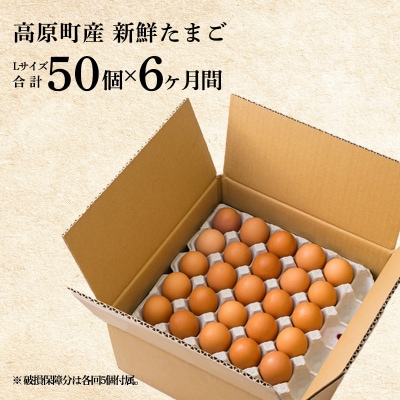 『卵の定期便』年6回計300個《大玉の赤たまご》宮崎県産きみの力(チカラ)Lサイズ　TF00448
