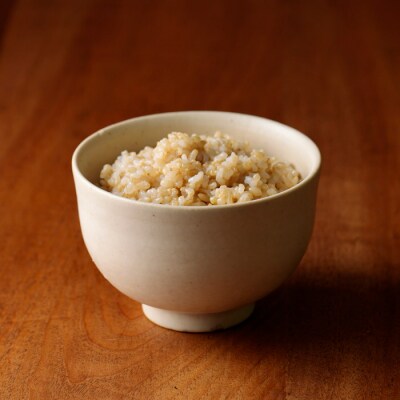 【先行受付令和6年産】 霧島湧水が育む「きりしまのゆめ」玄米ヒノヒカリ10kg　gm-630