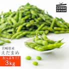 宮崎県産えだまめ3kg(500g×6袋)　特産品番号296