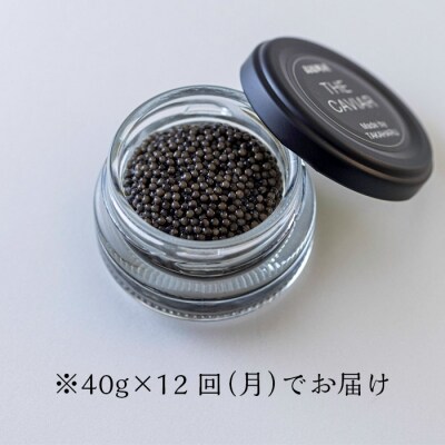 『定期便』:12ヶ月　THE・CAVIAR(ザ・キャビア)40g　特産品番号497