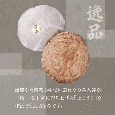 大分県産椎茸　香菇　逸品　IP-B_F07020