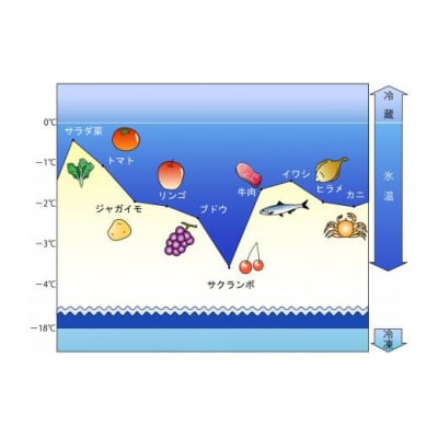 〈山陰大松〉氷温熟成　西京漬けギフトセット10切れ SSK-50