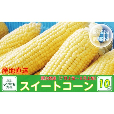 【産地直送】猪名川町産スイートコーン　10本(約3～4kg)