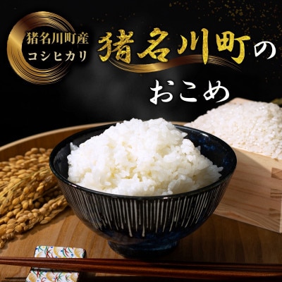 猪名川町のお米・コシヒカリ(精米)約9kg